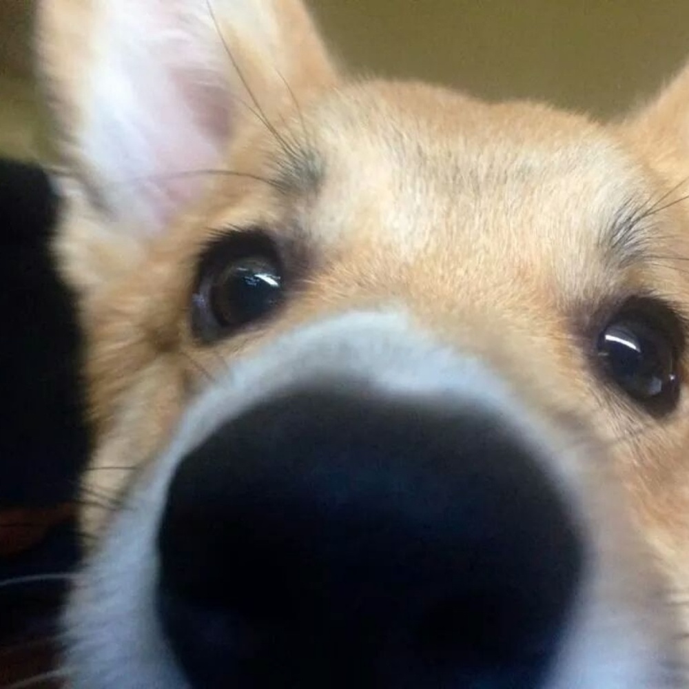 Meet your Posher, Adrienne